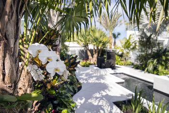 Resort H2o Suites- Adults Only