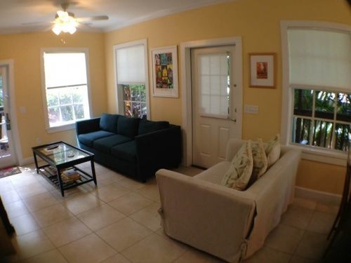 Travelers Palm