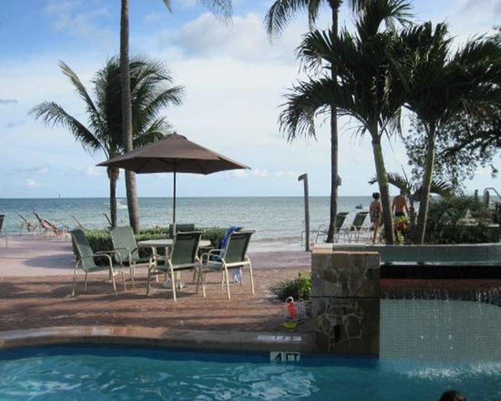 Coconut Apartment