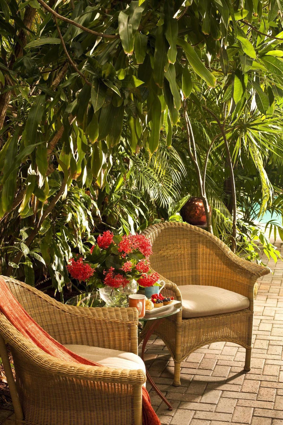 Tropical Hotel