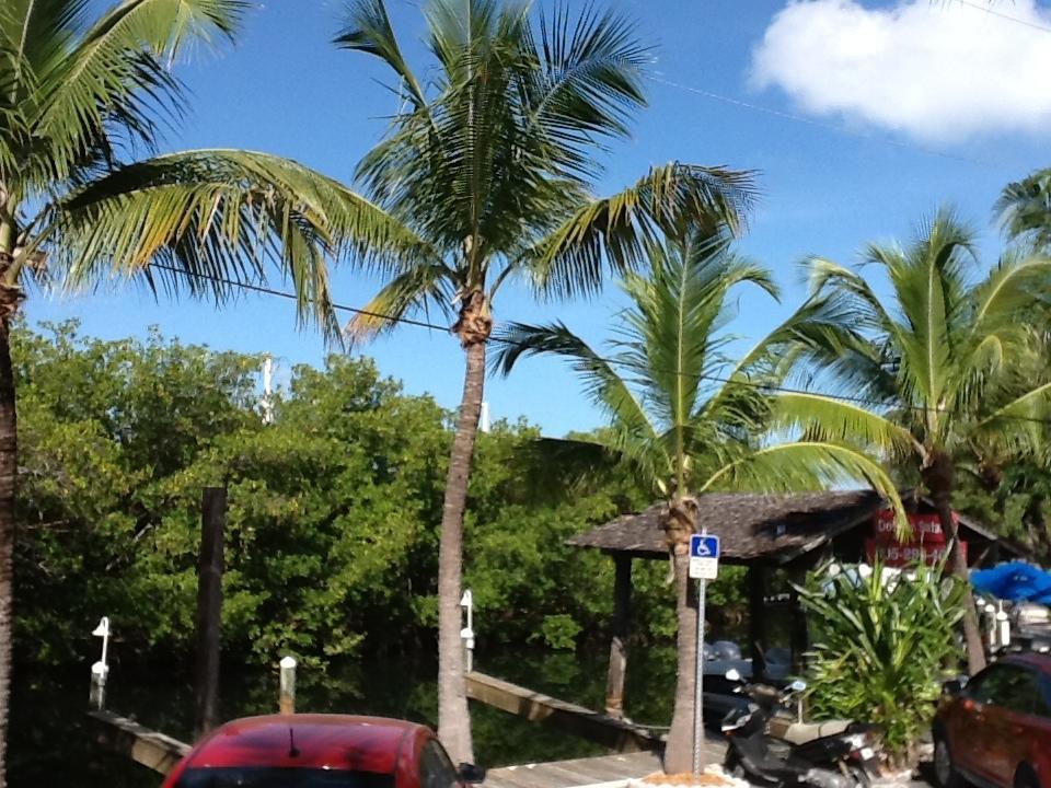 Hotel Banana Bay (adults Only) Key West