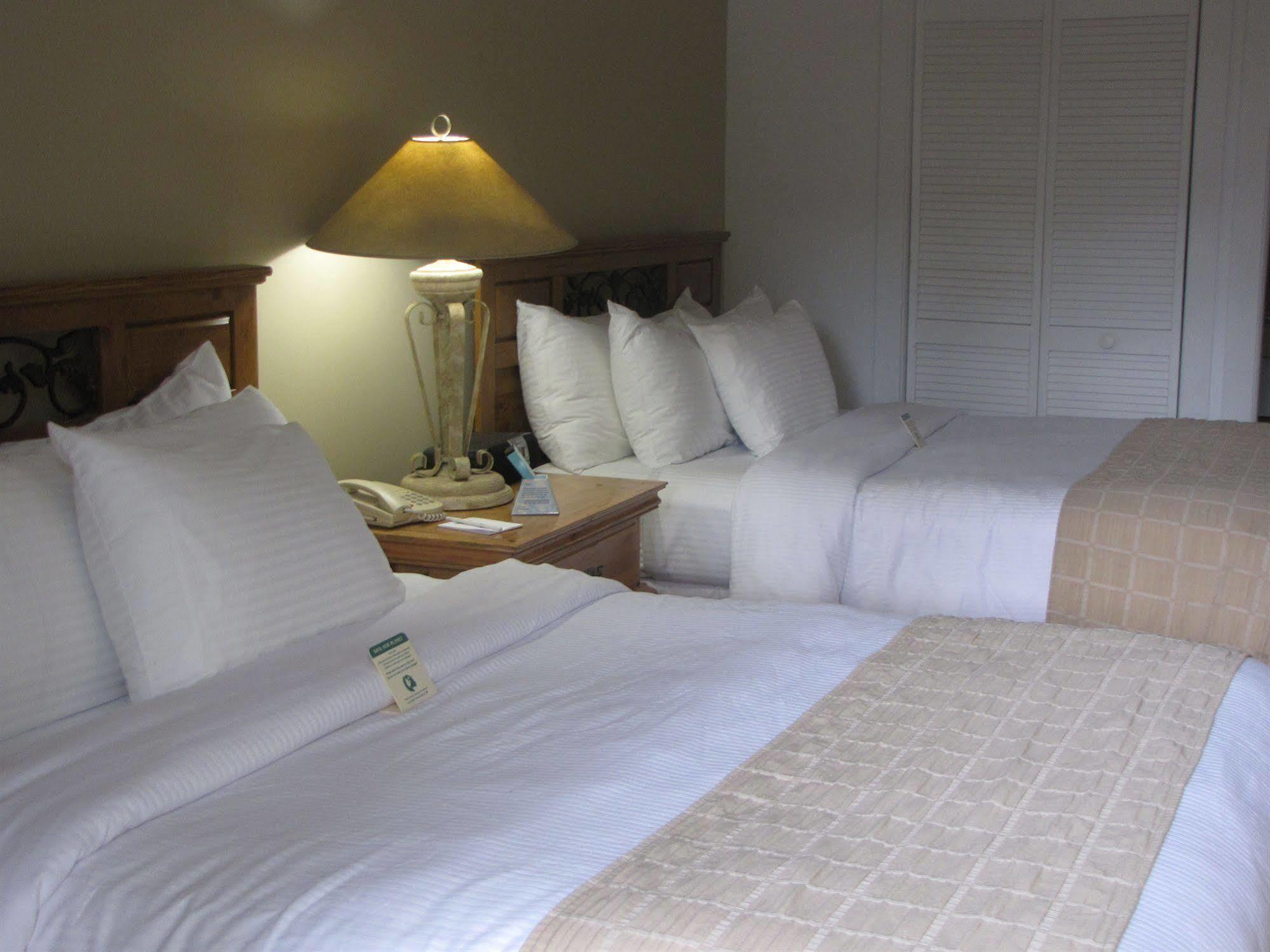 Inn Paradise - Adult Exclusive
