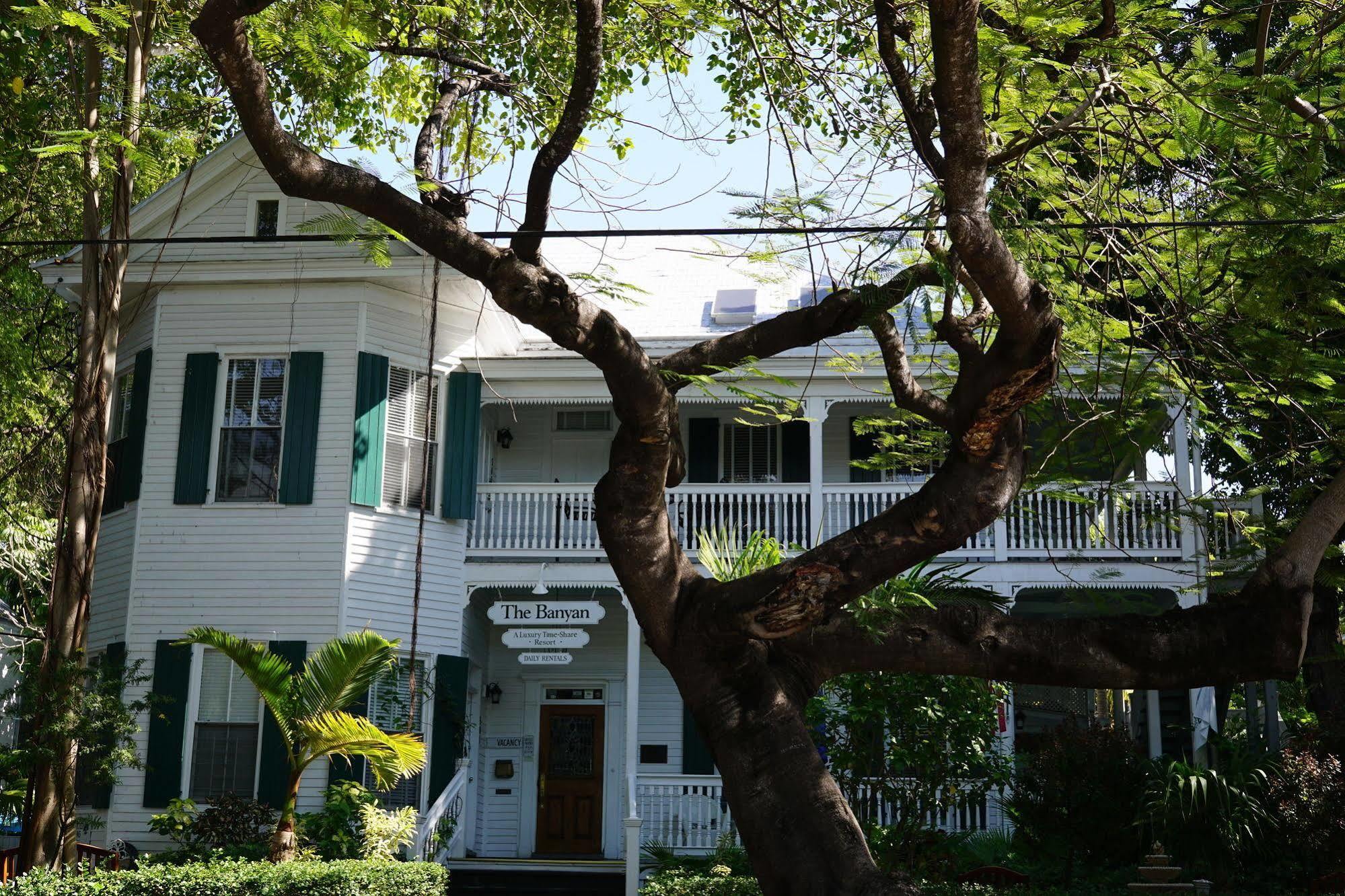 The Banyan Apartment