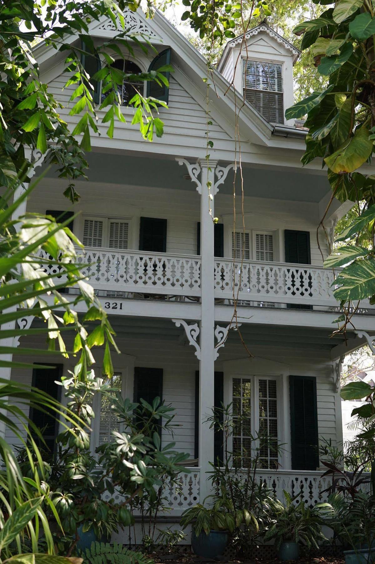The Banyan *