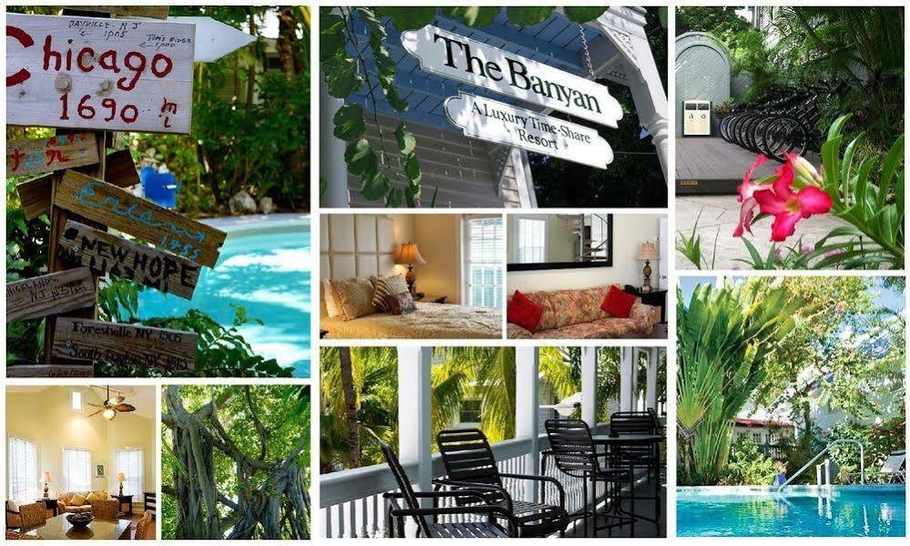 The Banyan