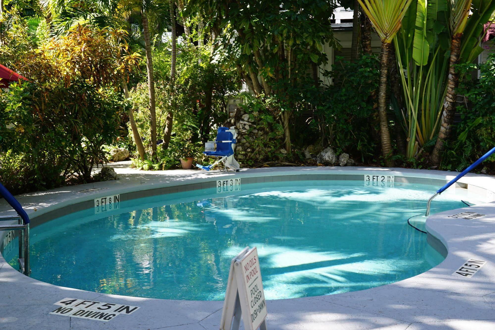 The Banyan Apartment *
