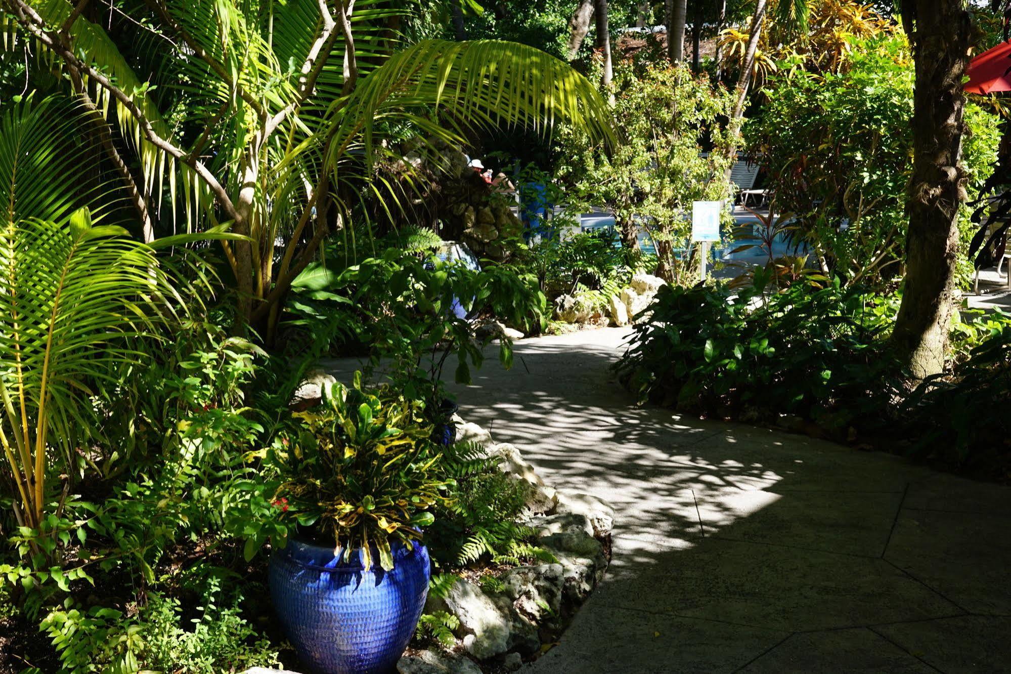 The Banyan * Key West