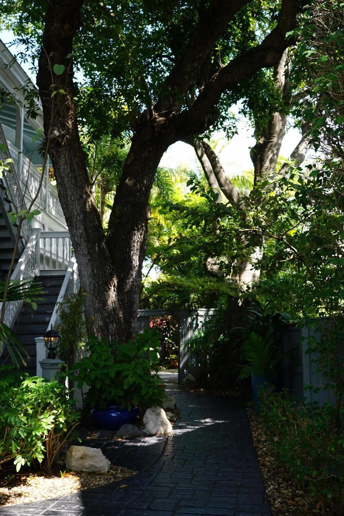 Apartment The Banyan Key West