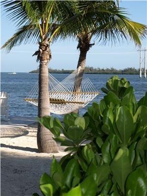 Banana Bay (adults Only) 2* Key West