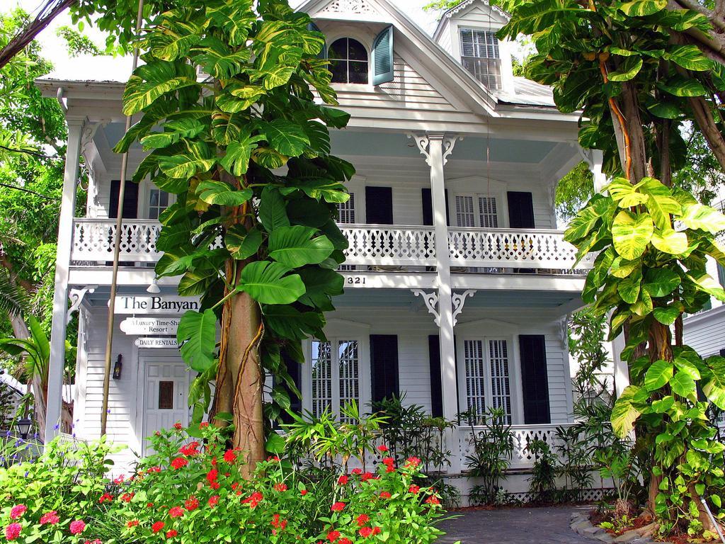 The Banyan Apartment *