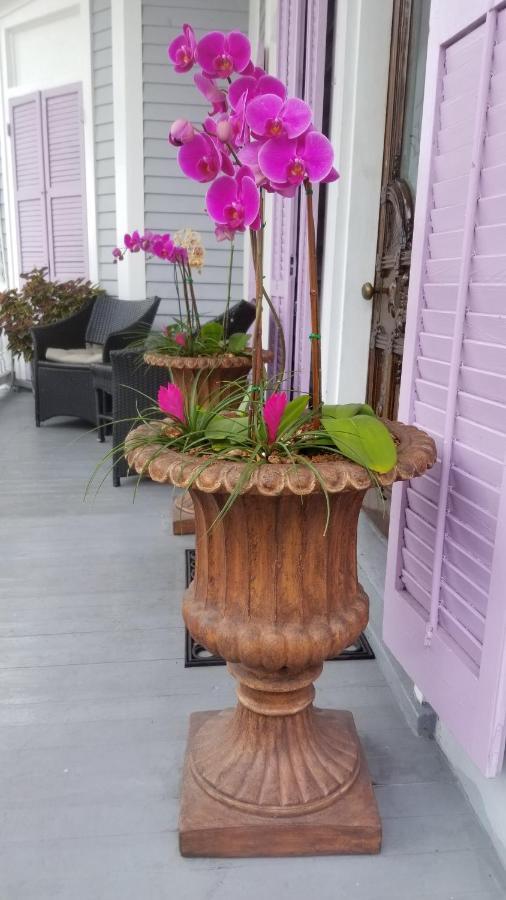 The Artist House 3* Key West