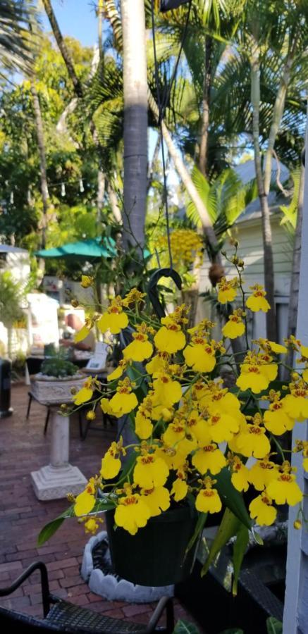 The Artist House Key West