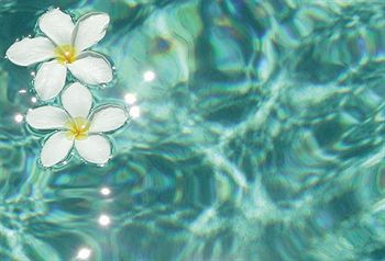Southernmost Adult Exclusive Inn 3*