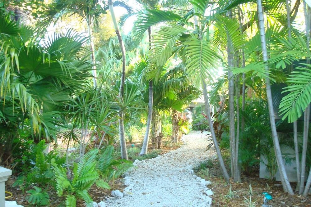 Hotel Coconut Mallory And Marina 3*