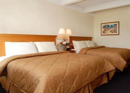 Hotel The Gates 4*