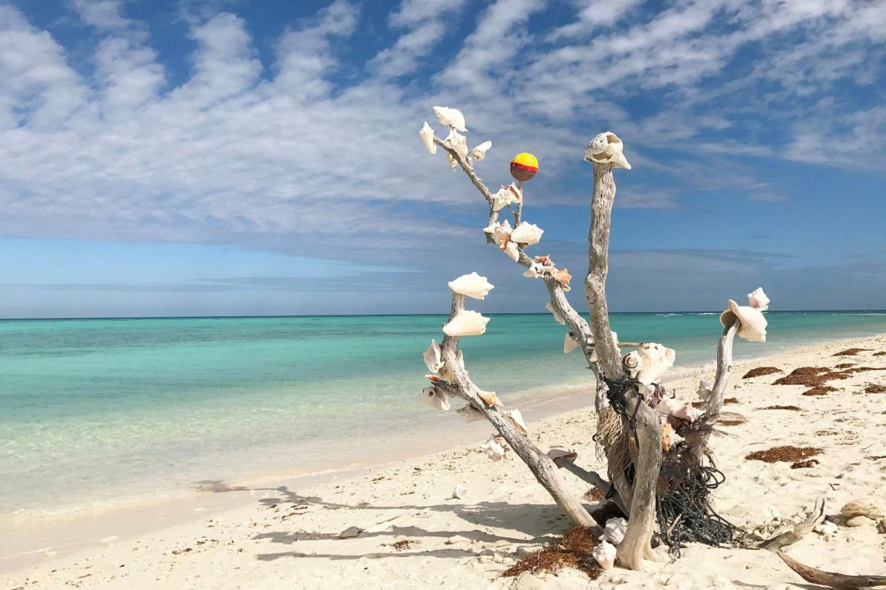Southernmost Retreat Apartment Key West